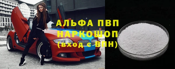 амф Гусиноозёрск