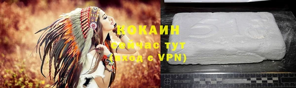 амф Гусиноозёрск