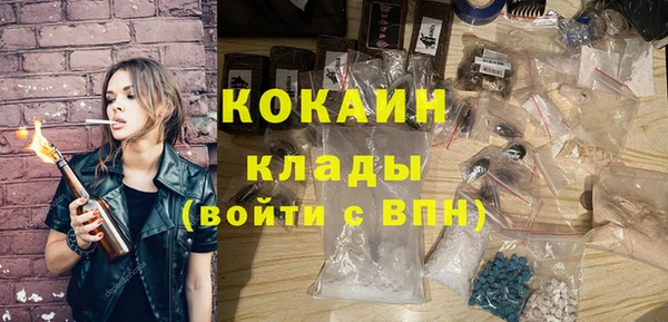первитин Гусев
