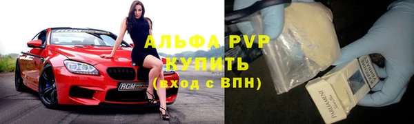 амф Гусиноозёрск
