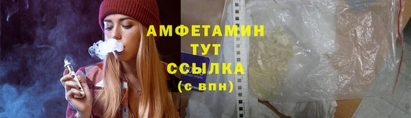 амф Гусиноозёрск