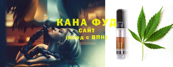 первитин Гусев