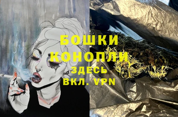 первитин Гусев