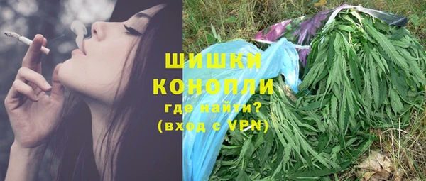 амф Гусиноозёрск