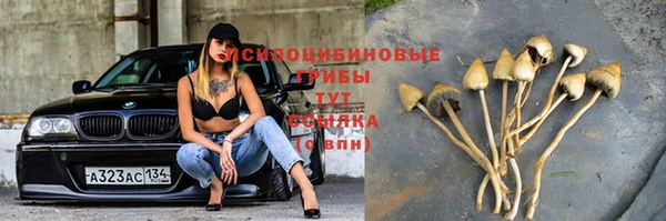 COCAINE Гусь-Хрустальный