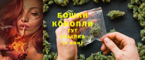 первитин Гусев