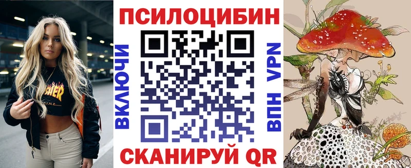 Купить где  Рассказово  Псилоцибиновые грибы мицелий 